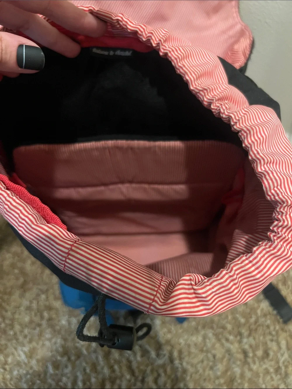 Herschel Supply Company durable herschel